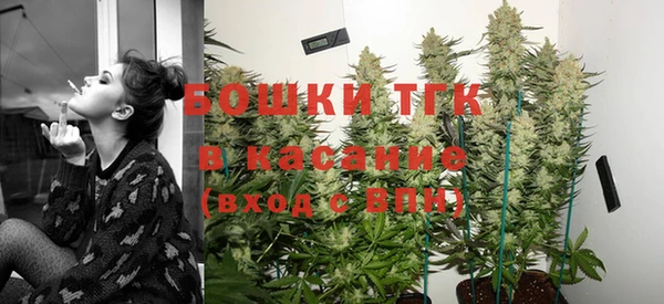 молекула духа Протвино