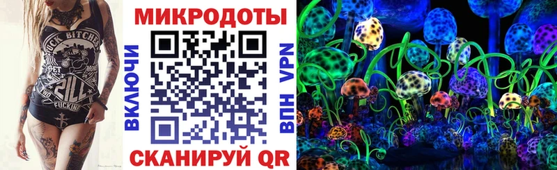 купить наркотик  Первомайск  блэк спрут ONION  Псилоцибиновые грибы MAGIC MUSHROOMS 